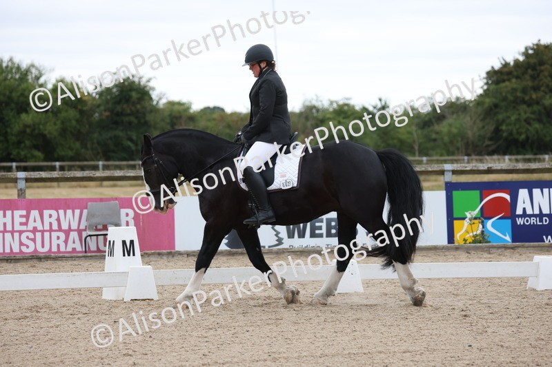 20250706-0111 - Class 11 - MQ Open Novice Test 3