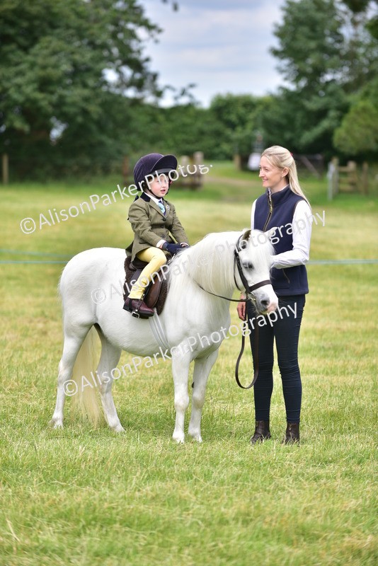 20260614-3684 - Class 15 - Prettiest Mare
