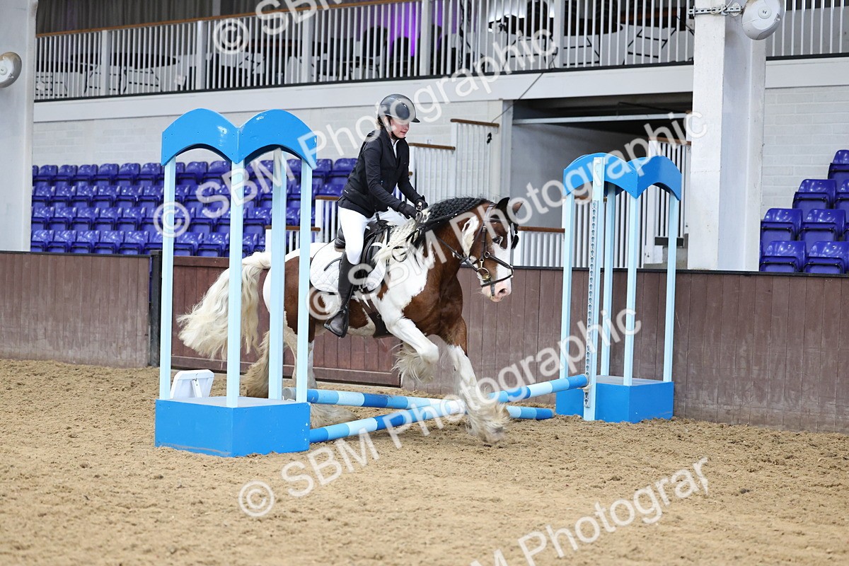 SBM_006919 - Class 1 - 40cm showjumping