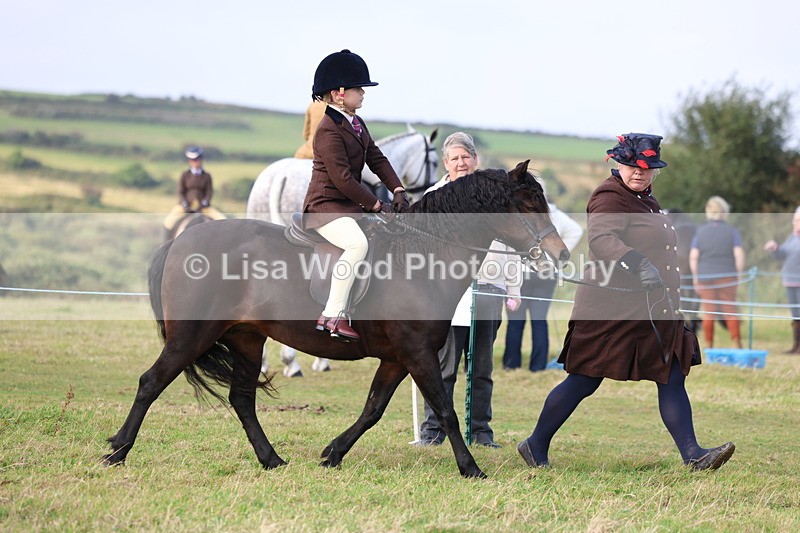 3E7A3409 - Class 2: Lead rein