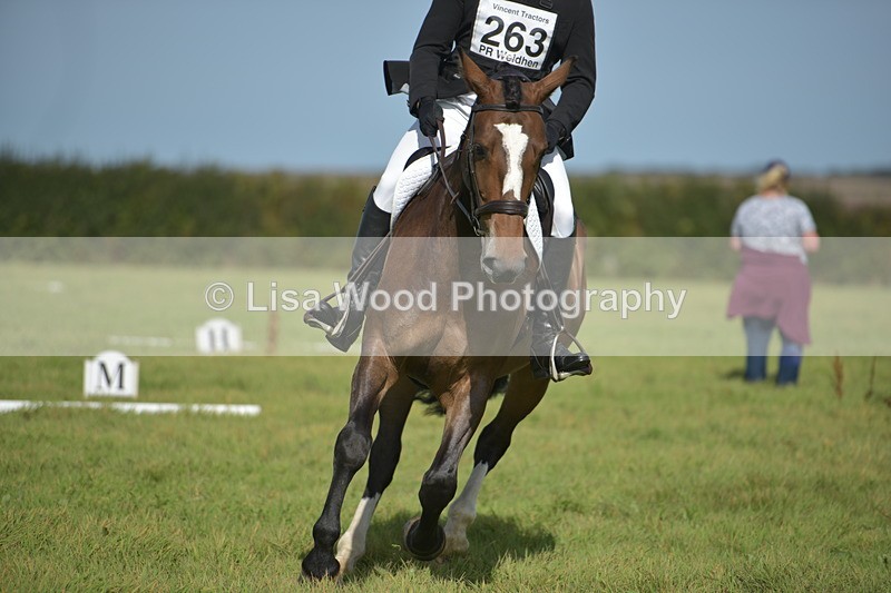 RAY_8057 - Class 2B: Trekenning Open: Dressage