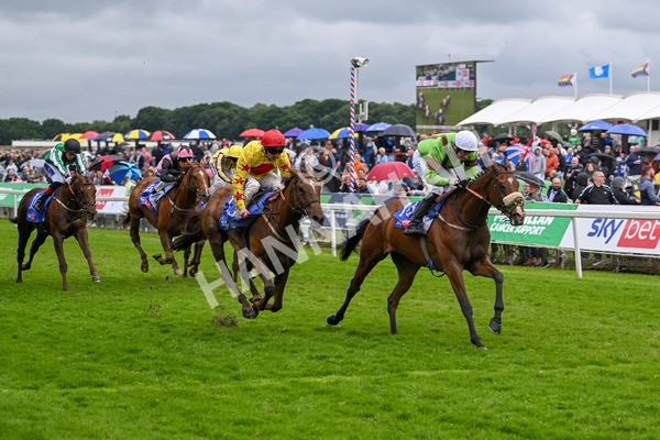 150624-Race 2-Tolstoy-6875 - Race 2 2.25pm Sky Bet Proud To Support Macmillan Handicap