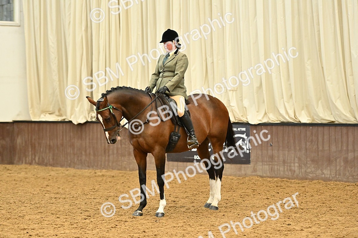 SBM_001996 - Class 24 - BSHA Ridden Racehorse to Show Horse