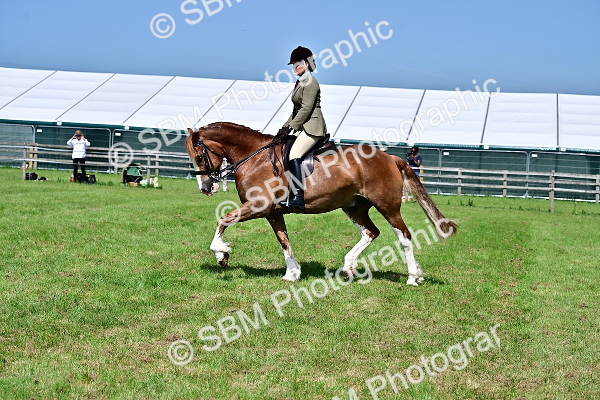 SBM_03747 - Class 58 - TSR  Ridden Veteran Amateur of the year