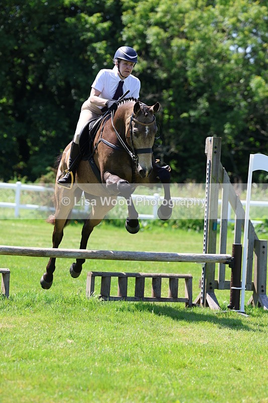 3E7A6927 - Class 30: Novice Working Hunter