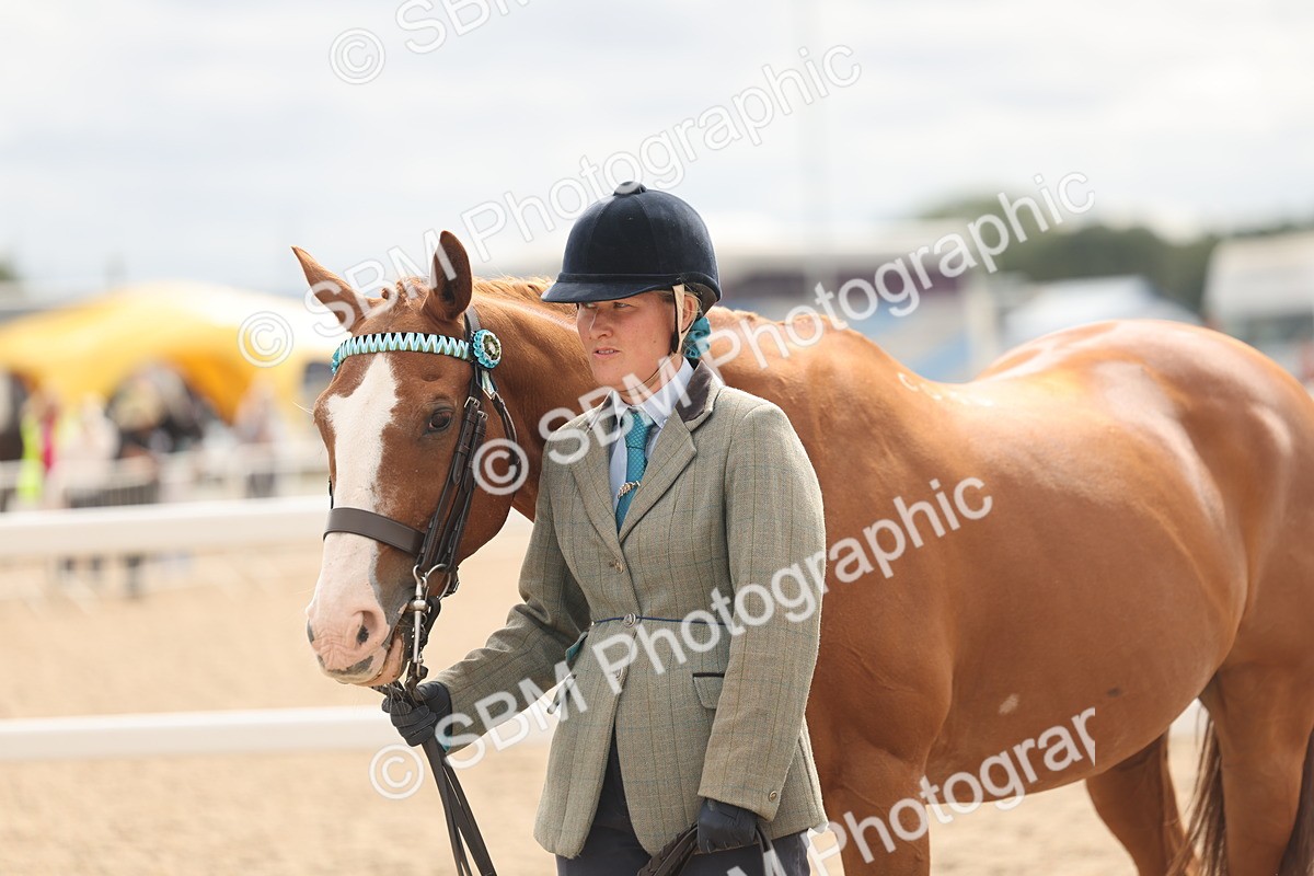 SBM_16992 - Class 312 - IH Competition Horse-Pony