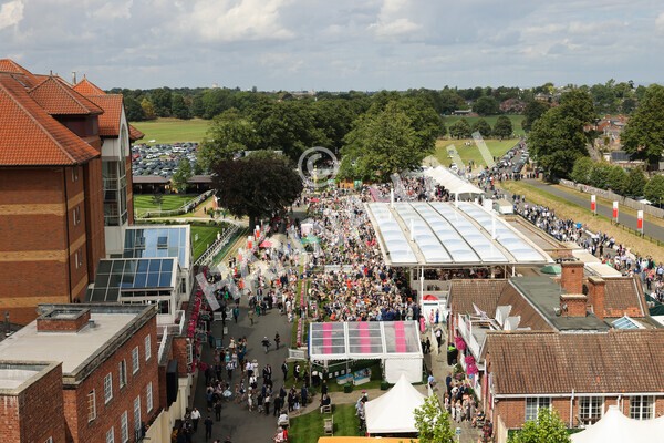 yr20082022r1-6 - Race 1 1.50pm Sky Bet & Symphony Group Strensall Stakes