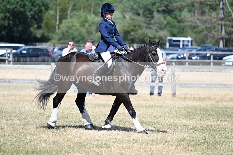 WJ7_3706 - Class 8 Ridden Veterans