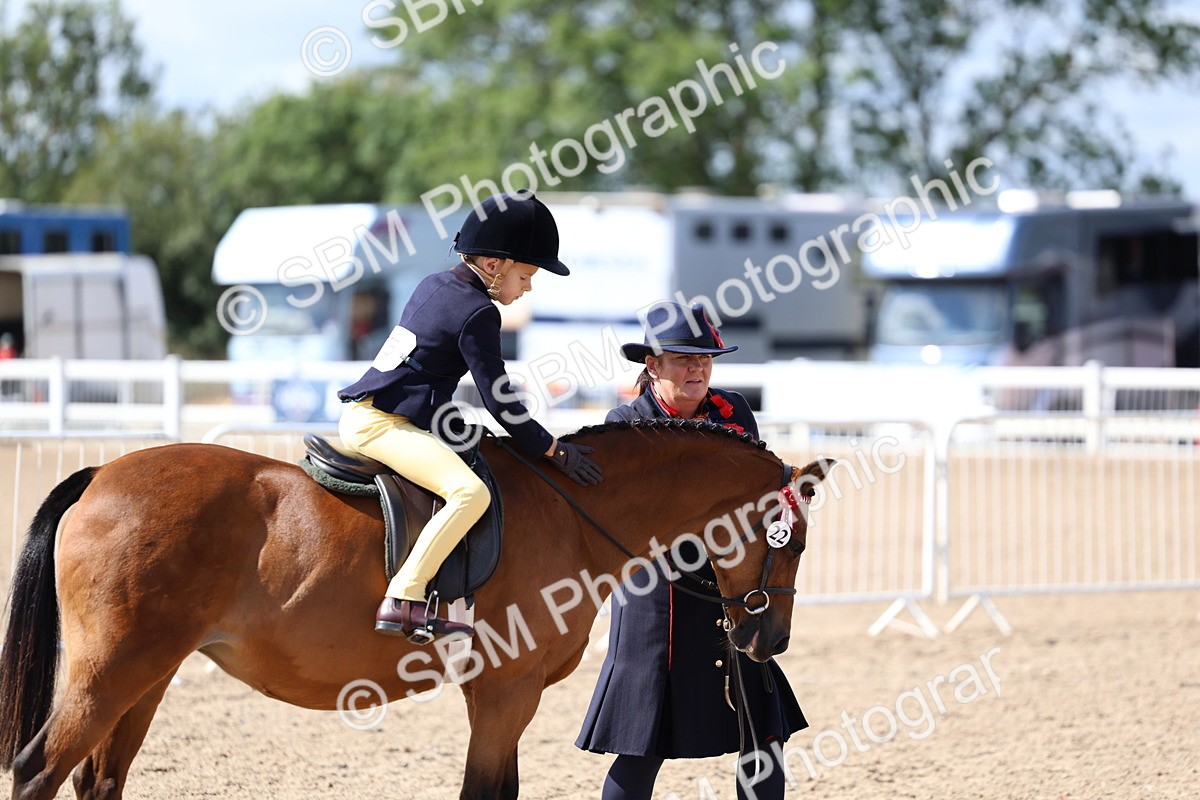 SBM_13042 - Class 309 - Lead Rein Pony
