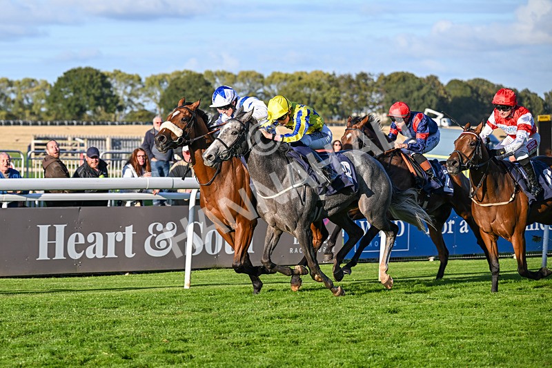 230925-Race 7-Hill O Rue-2469 - Race 7