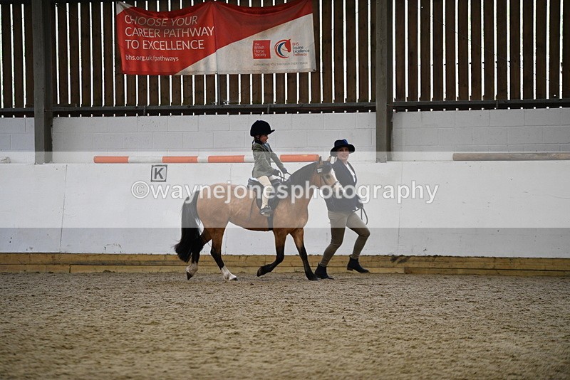 WJ5_6715 - Class 10 Childs Pony