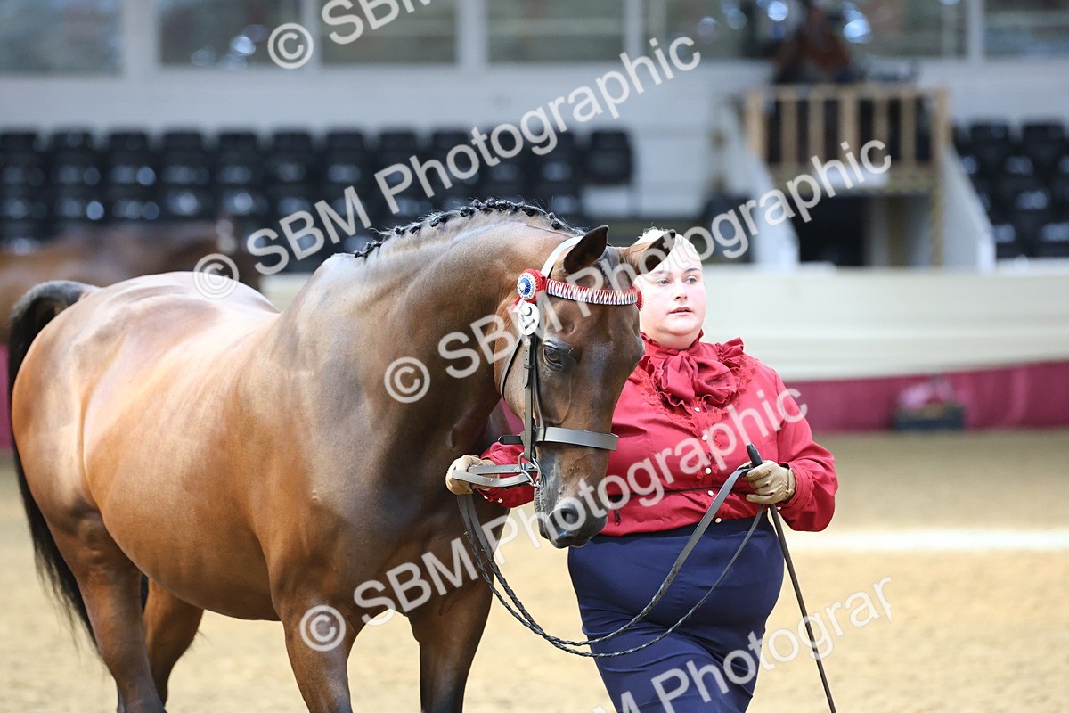 SBM_22518 - Class 902 - Supreme Final - IH Diamond