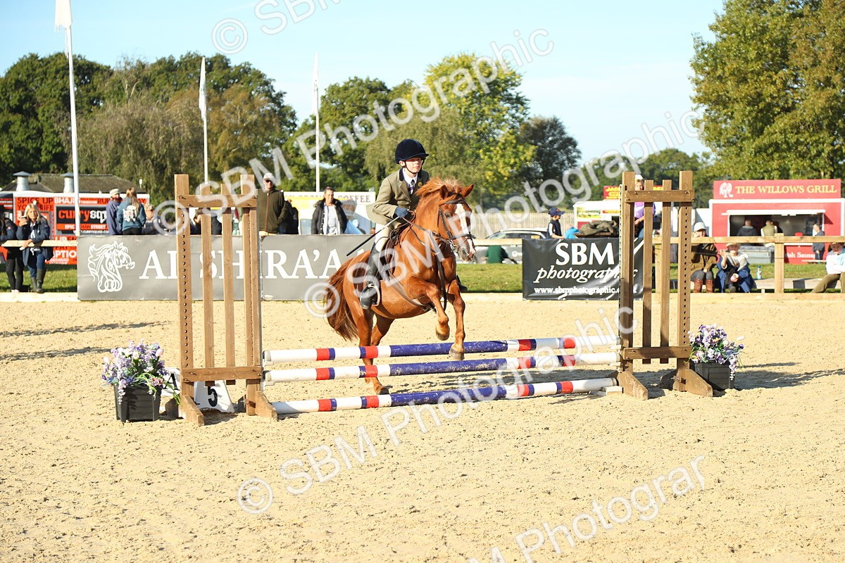 SBM_35029 - J5 - Junior Pony 50cm Championship