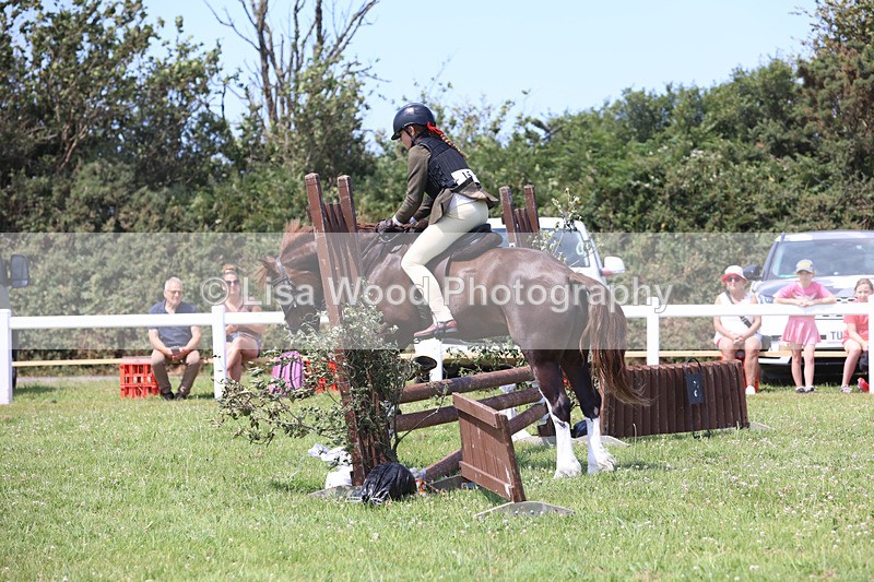 JPP_2423 - Class 21: Working Hunter 60cm