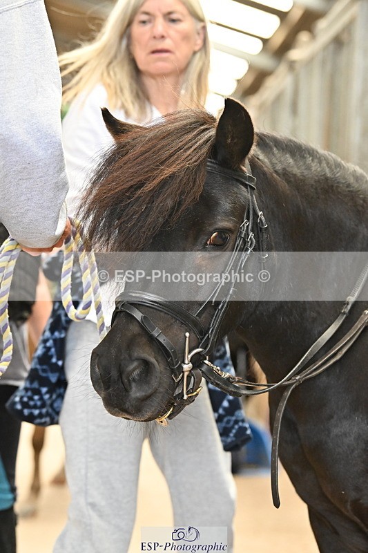 250821B-141656-00500 - Stable Shots and Group Photo