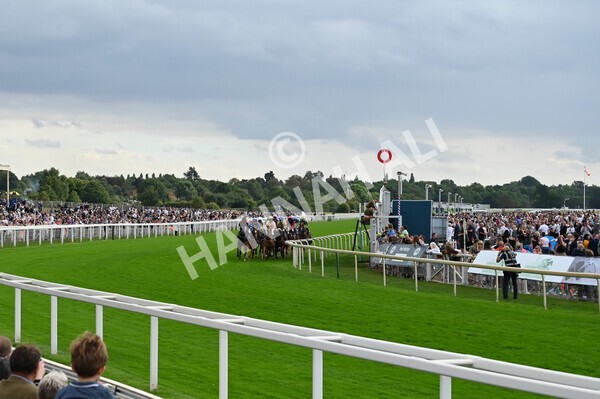 yr04092022r5-26 - Race 5 4.05pm Little Green Rascals Children's Nurseries Stakes
