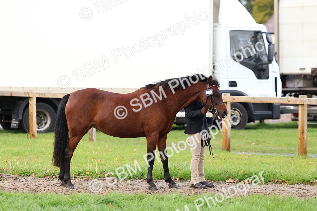 SBM_39438 - S24 - Young Veteran In Hand