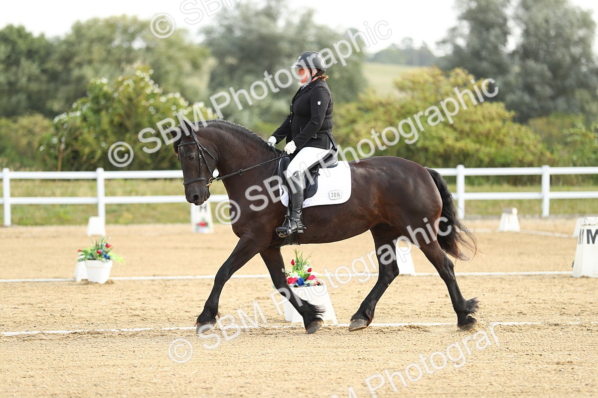 SBM_015035 - Class 13 - Novice 23 - 8,30-9.33