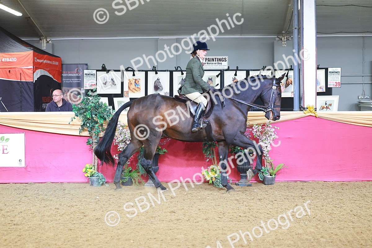 SBM_07635 - Class 101 - HOYS Veteran Qualifier - Ridden Diamond