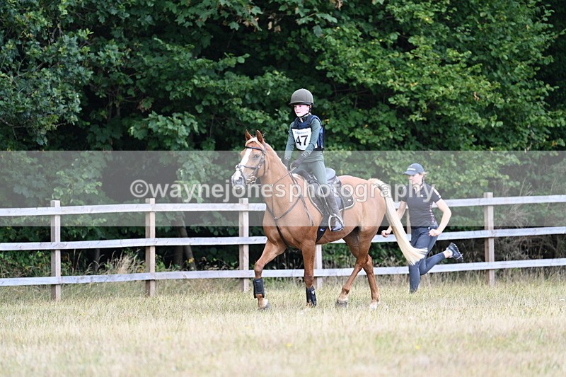 WJ7_1686 - 60cm Time 13:20 to 14:27