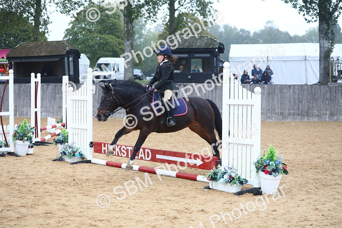 SBM_71804 - J4 - Mini Tour Junior Pony 45cm Championship