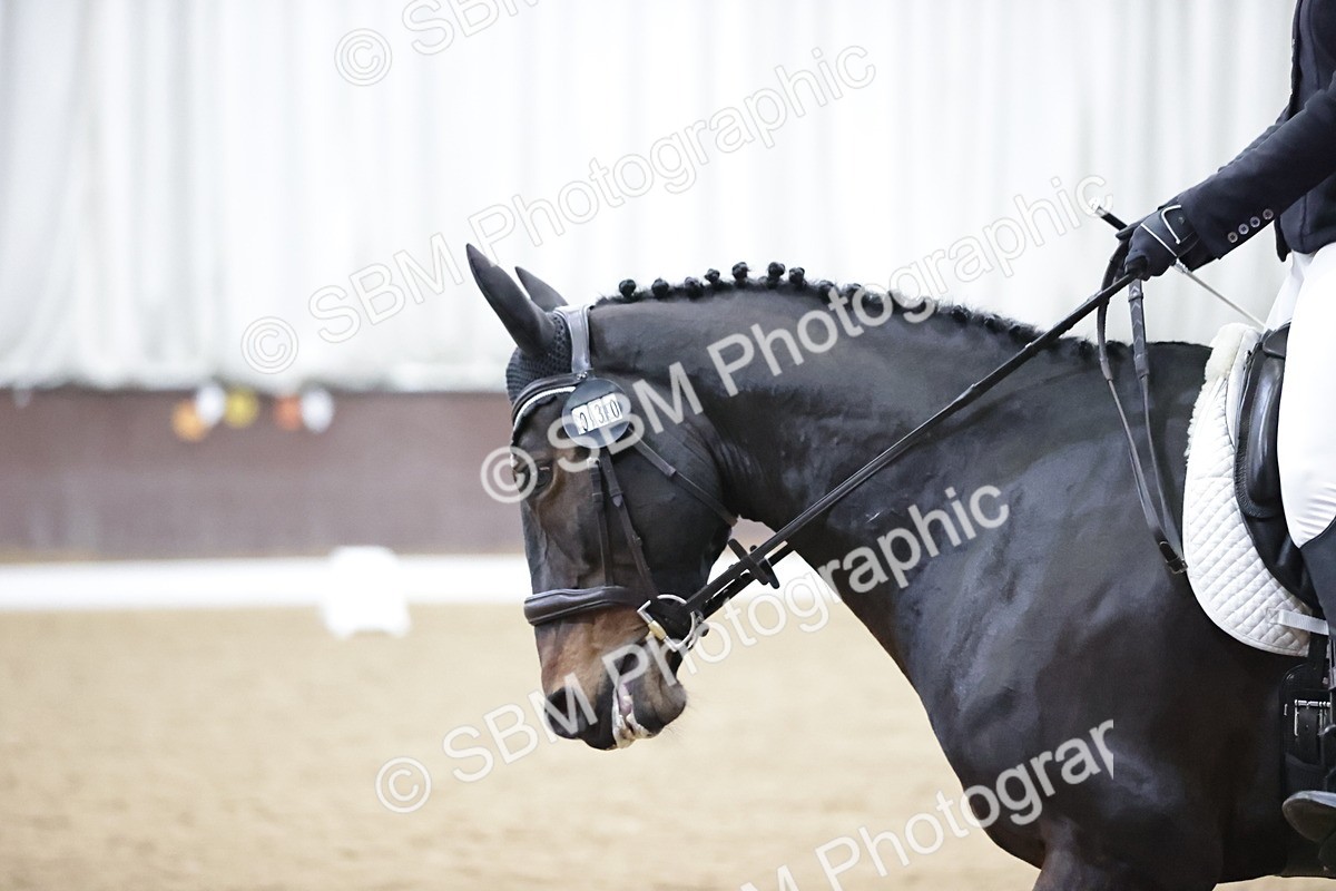 SBM_007114 - Class 5 - Novice 5