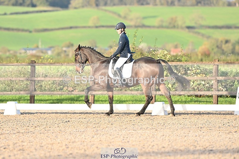 231105-153245-03043 - Cls 4 Novice 24 15.24 to 16.35 break