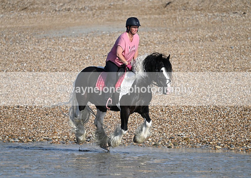 WJ7_3799 - Kellie & Churchill ... do Hayling Island 25-08-24