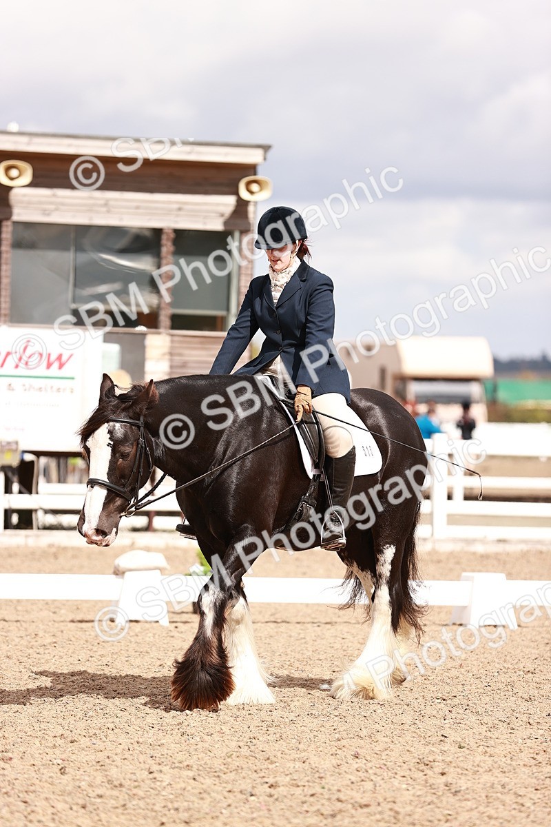 SBM_06216 - Class 37 - Novice 5