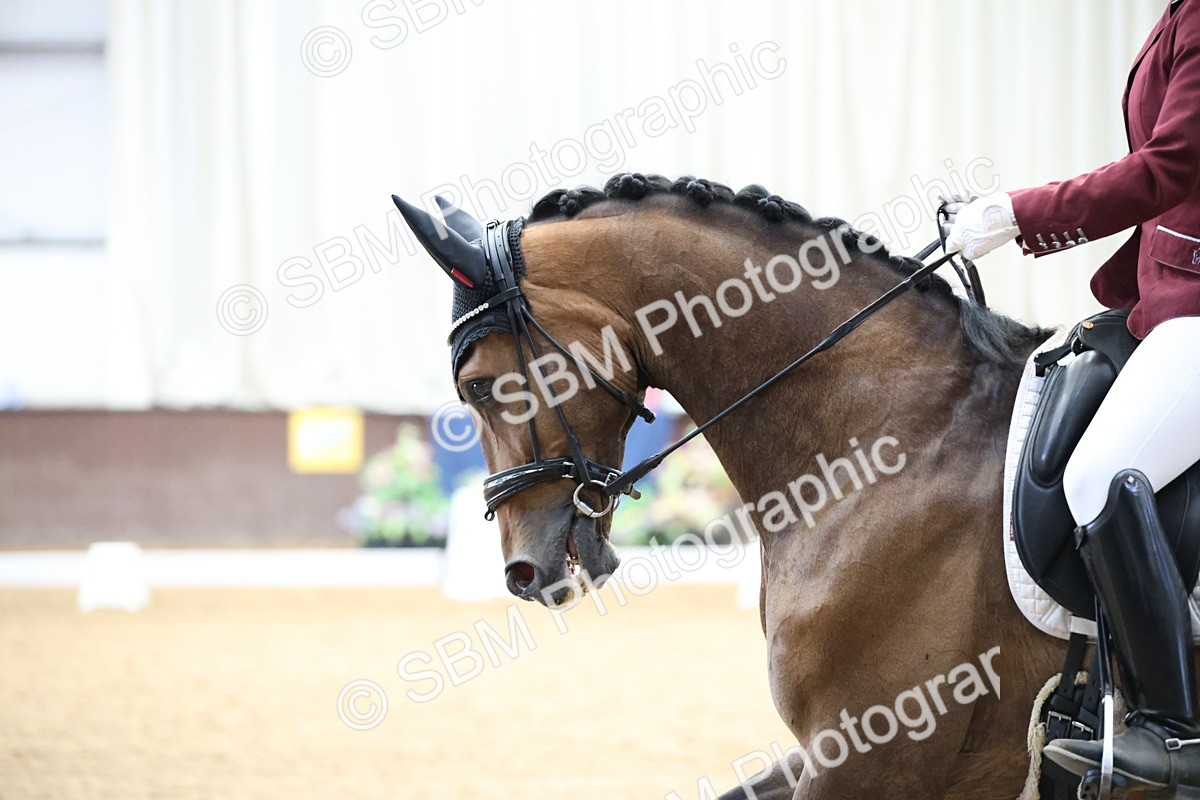 SBM_002168 - Class 5 - Novice 6 Gold - 9.00-10.10