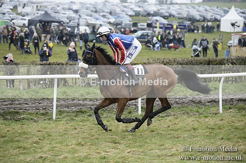 PtP 020418 -106 - Old Berks Point-to-Point Races Easter Monday 02/04/18