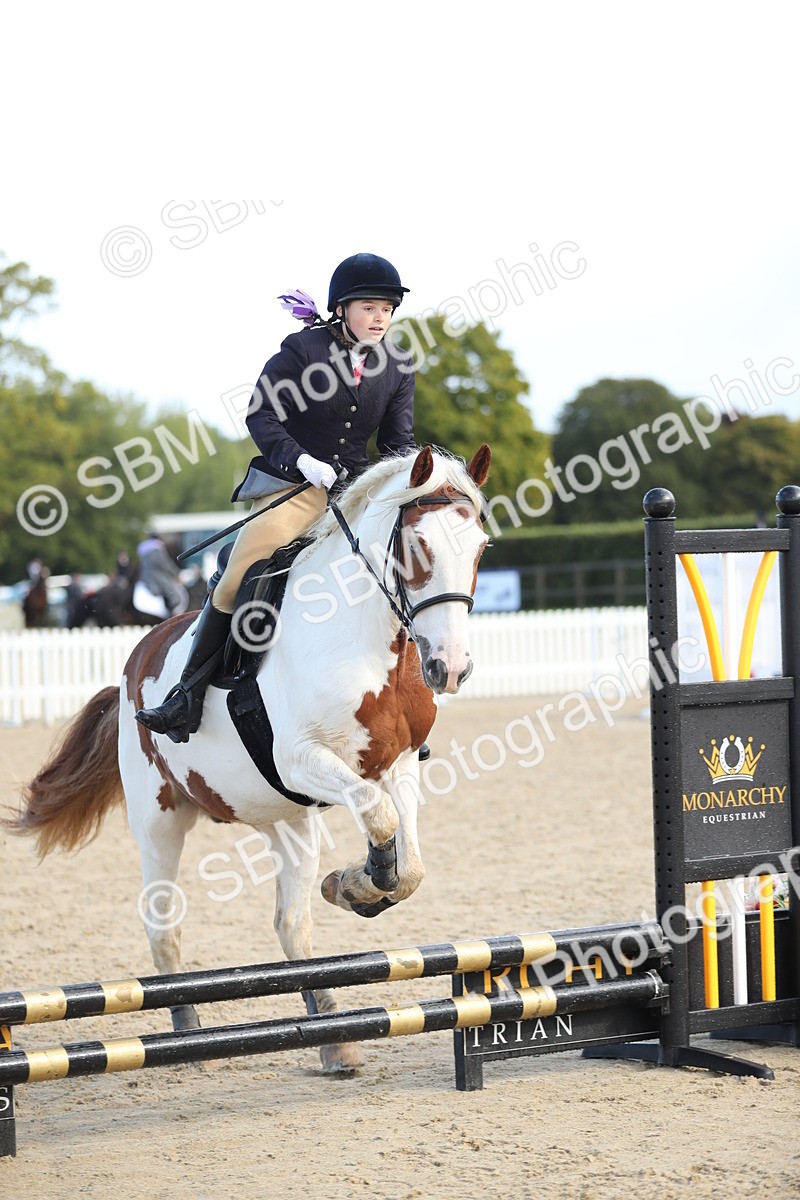 SBM_37320 - J20 - Junior Horse 50cm Championship
