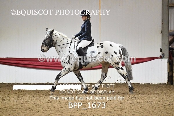 BPP_1673 - PC NOVICE DRESSAGE