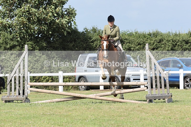 JPP_2511 - Class 20: Working Hunter 70cm