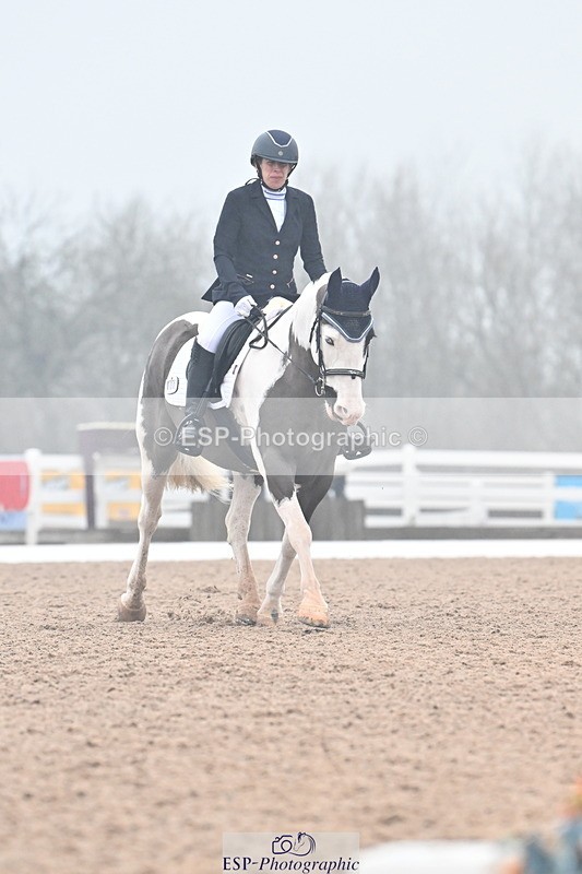 240217A-121102-02135 - 100-Gemma.Pine-Major.IV