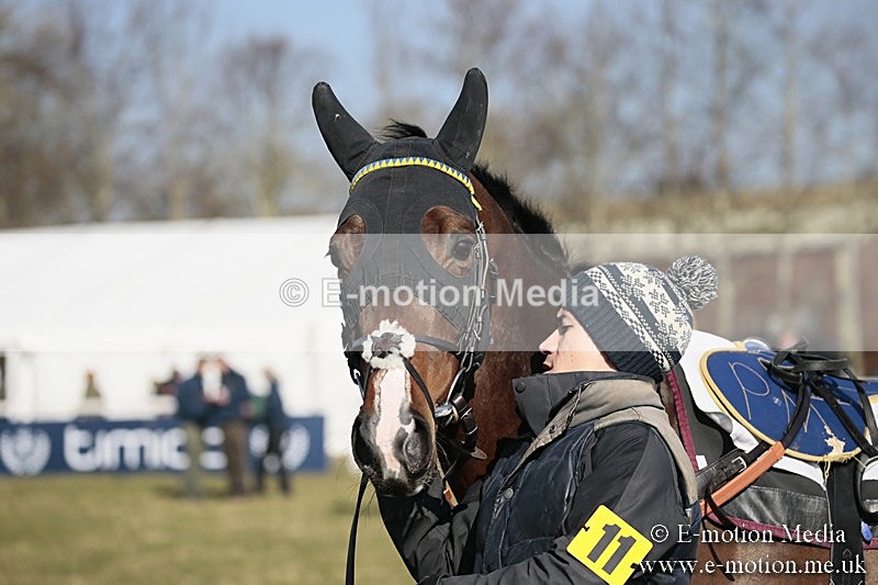 PtP 240218 119 - Vine & Craven Hunt Point-to-Point Barbury racecourse 24/02/18