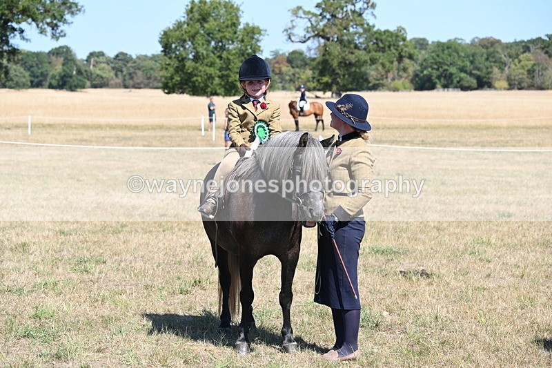 WJ6_8157 - Class 36 Lead Rein