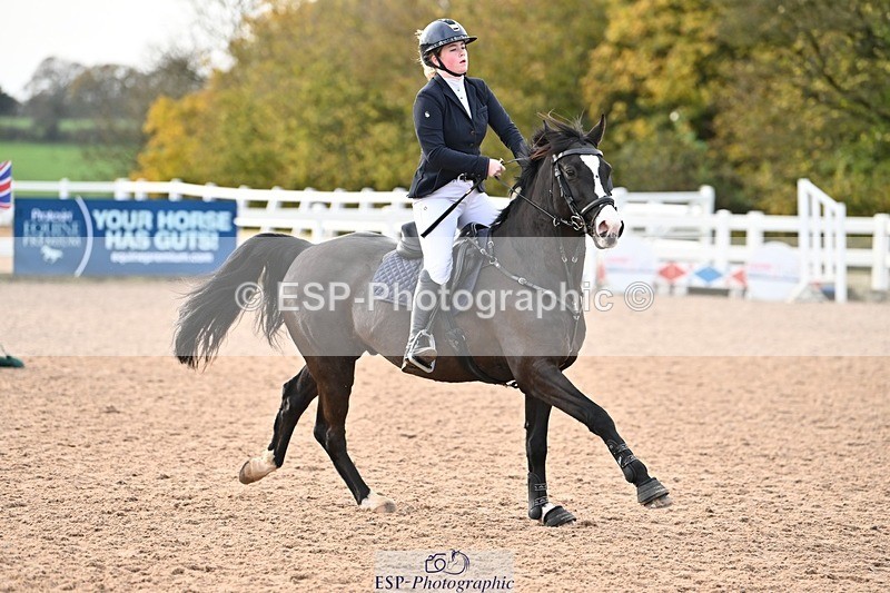 241117X-100818-03584 - Cls 09s Pony intro 90cm