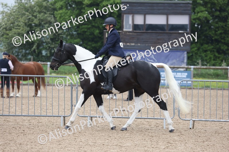 20260504-1039 - Class 14 - Cob and Hunter