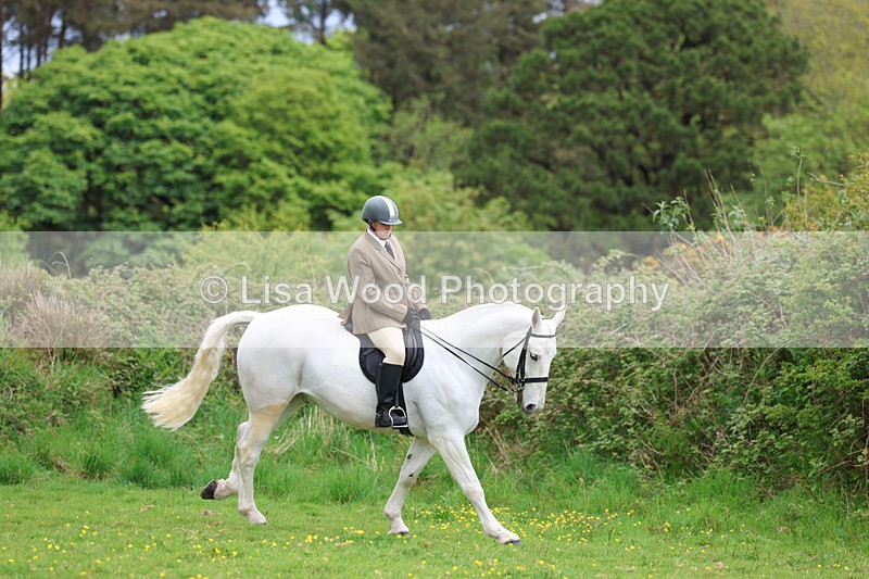 3E7A1207 - Class 7: Ridden Hunter Type