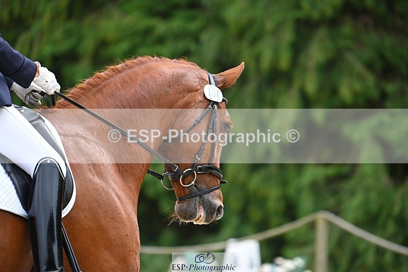 230813-135511-07648 - Cls 13 Medium Bronze 13.15 to End