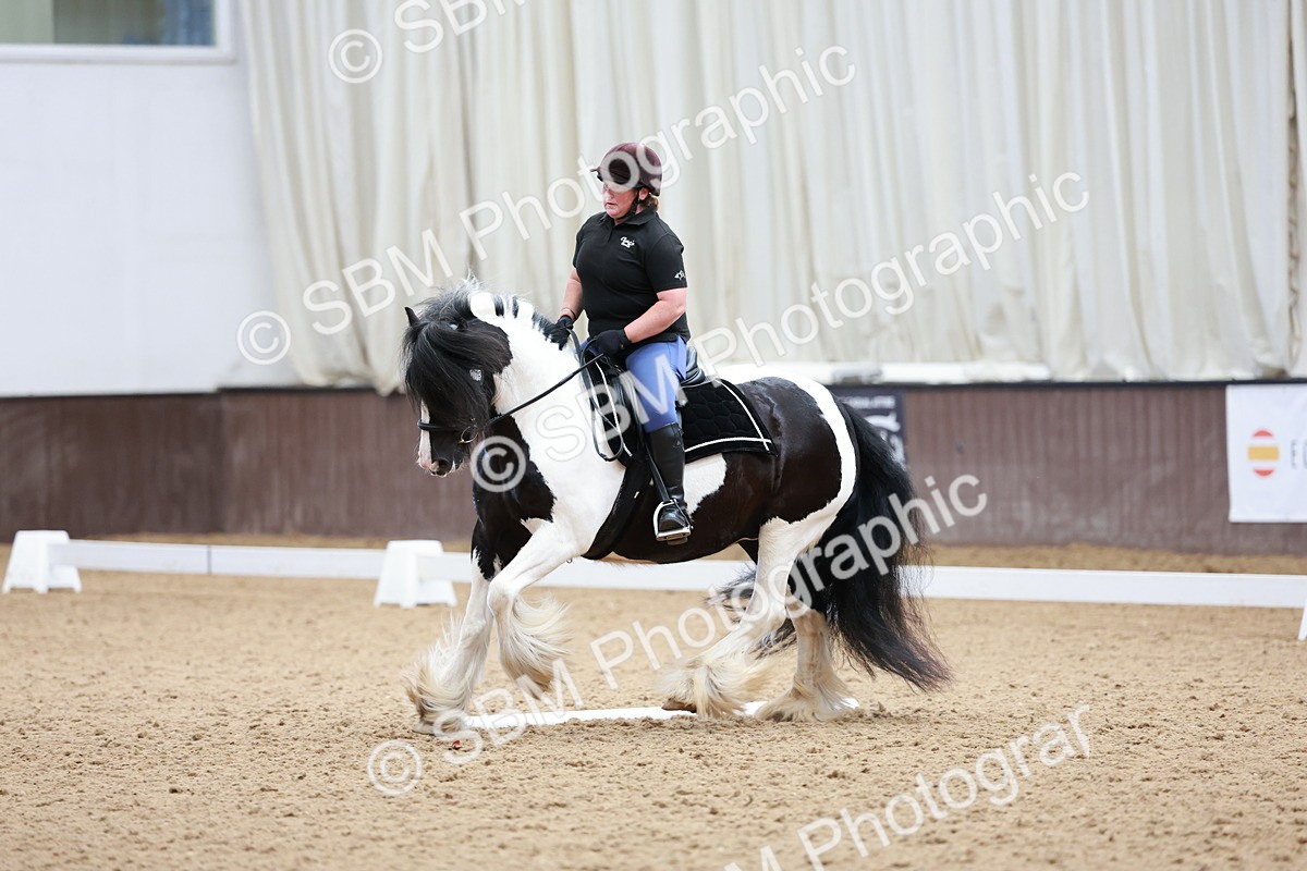 SBM_013917 - Class 9-8-11 - MQ U21-Open N1-N2 -  P2