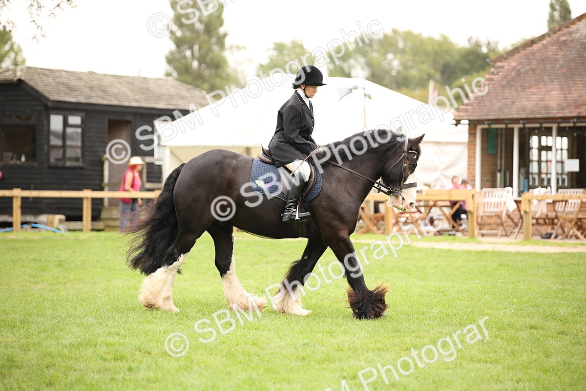 SBM_73489 - S68 - Traditional Cob Ridden