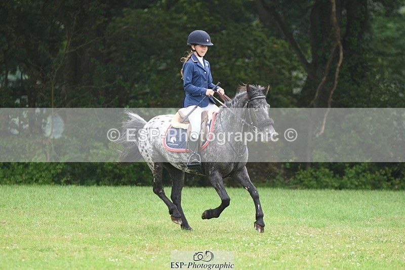 230618-102206-10387 - Cls 28 British Novice & 80cm Open