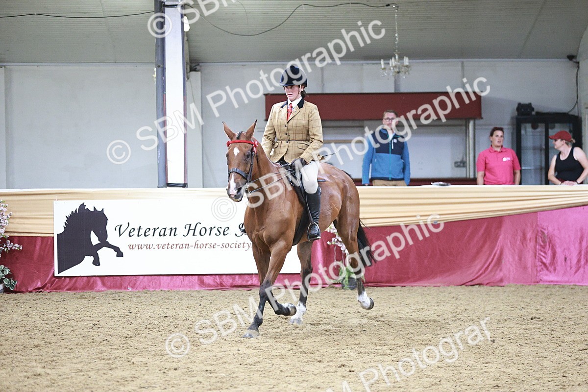 SBM_08188 - Class 11R - Regional Ridden Veteran