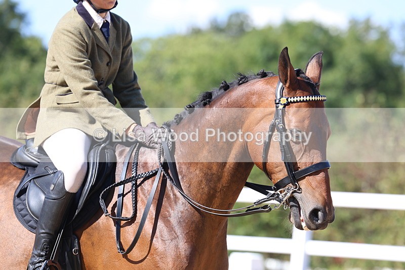 3E7A5750 - Class 10: Riding Horse