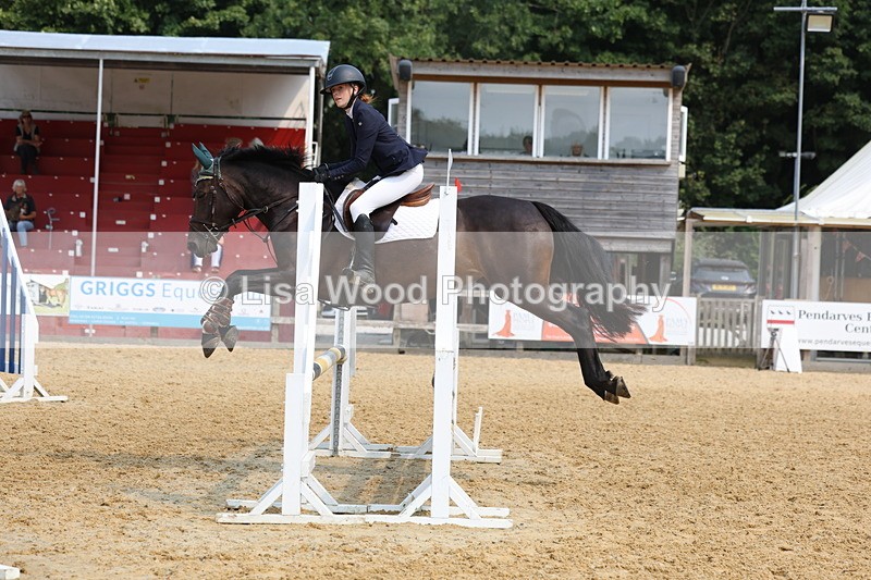 3E7A1451 - Class 4: Senior British Novice/90cm open