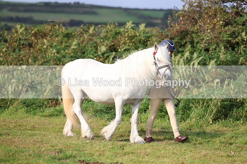 3E7A3203 - Class 12: M & M Small Breeds