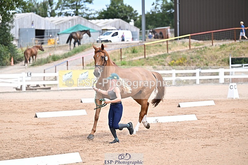 250716-130839-00358 - Trot Up 12.30 to 1.30