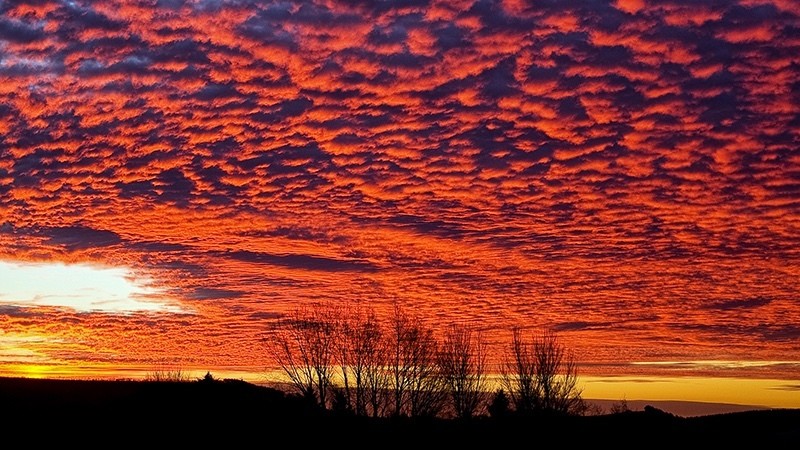 Red Sky_4179 - Fire Element